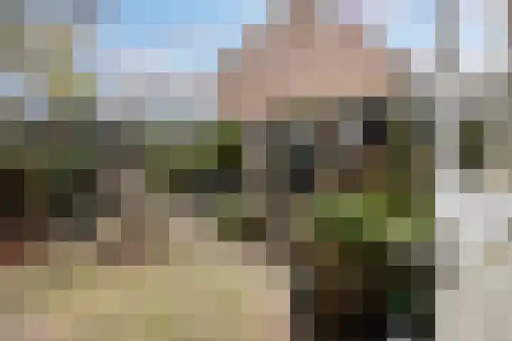 Claverenbladstraat 128 Leusden thumbnail 22