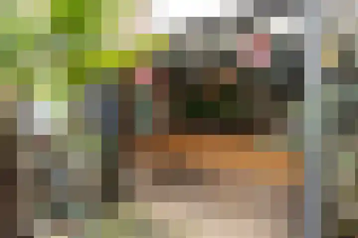 Claverenbladstraat 128 Leusden thumbnail 25