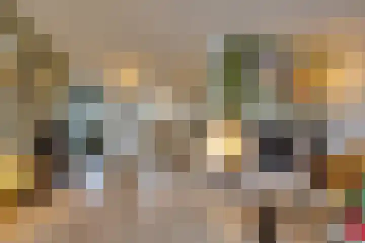 Claverenbladstraat 128 Leusden thumbnail 6