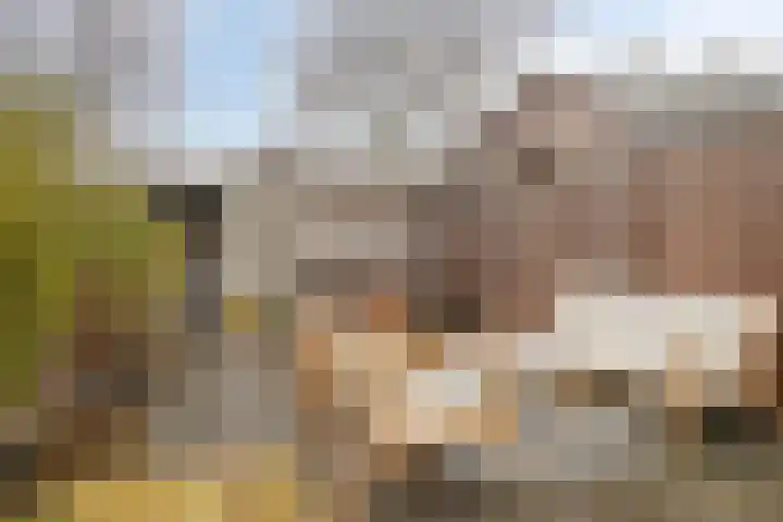 Claverenbladstraat 131 Leusden thumbnail 23