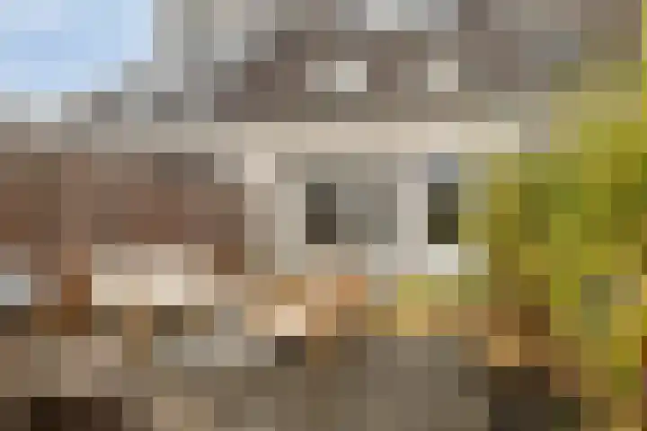 Claverenbladstraat 131 Leusden thumbnail 24