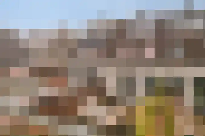 Claverenbladstraat 131 Leusden thumbnail 25
