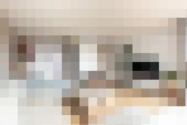 Claverenbladstraat 79 Leusden thumbnail 14