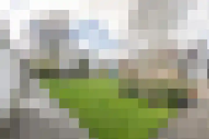 Claverenbladstraat 79 Leusden thumbnail 38