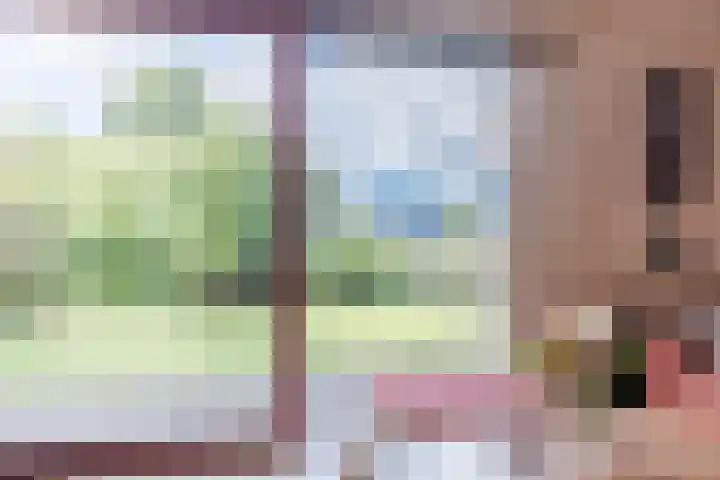 Cleij Weer 2 Assendelft thumbnail 11