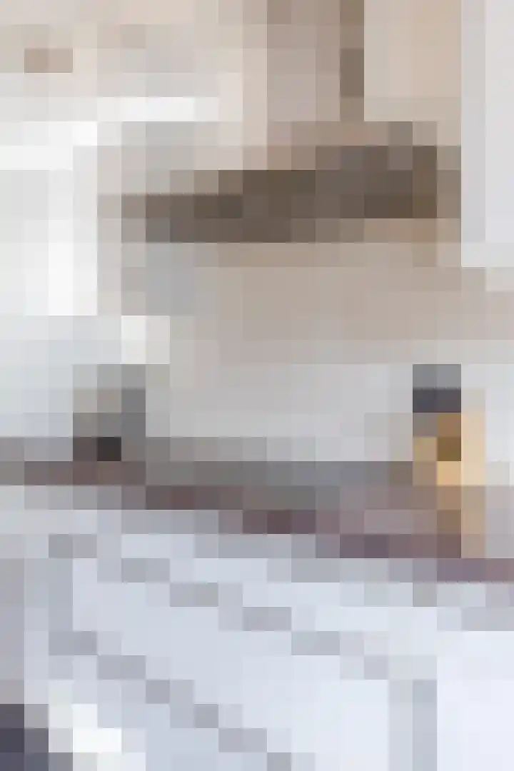 Cleij Weer 2 Assendelft thumbnail 16