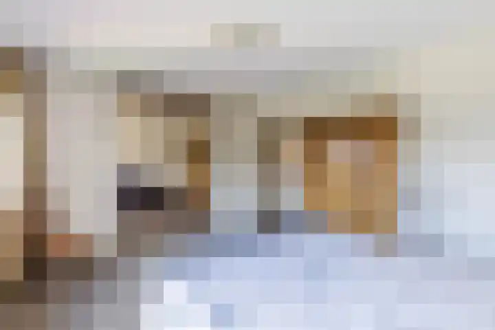 Cleij Weer 2 Assendelft thumbnail 24