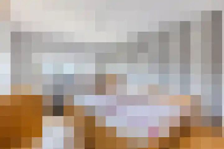 Cleij Weer 2 Assendelft thumbnail 25
