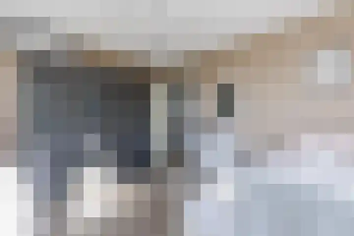 Cleij Weer 2 Assendelft thumbnail 40