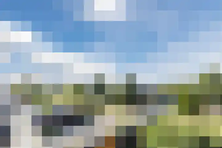 Cleij Weer 2 Assendelft thumbnail 48