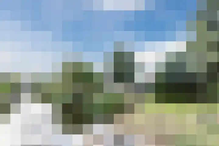 Cleij Weer 2 Assendelft thumbnail 57