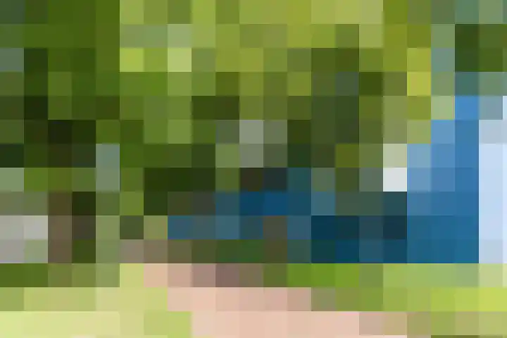Cleij Weer 2 Assendelft thumbnail 58