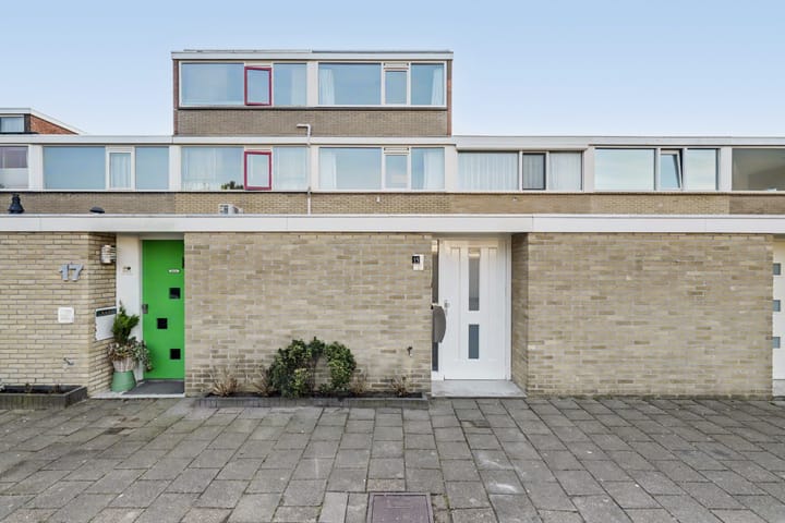 Clematis 15 in Monster