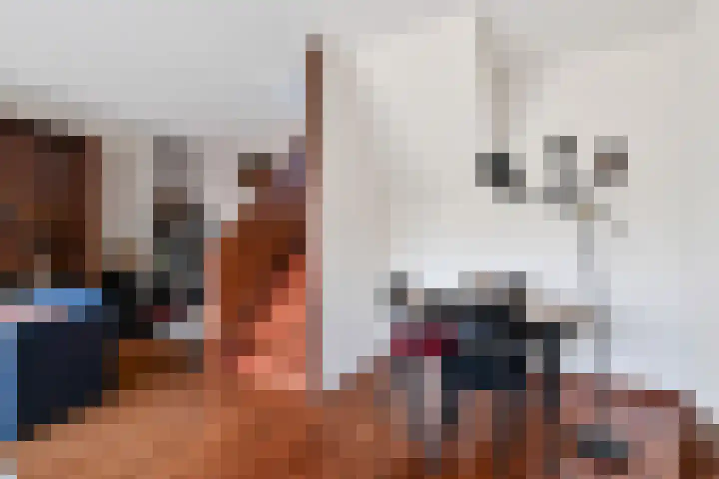 Clematispark 17 Zoetermeer thumbnail 17