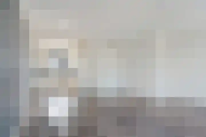 Clematispark 17 Zoetermeer thumbnail 43