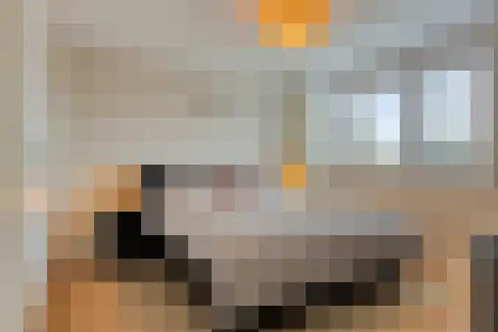 Clematisstraat 100 Denekamp thumbnail 15