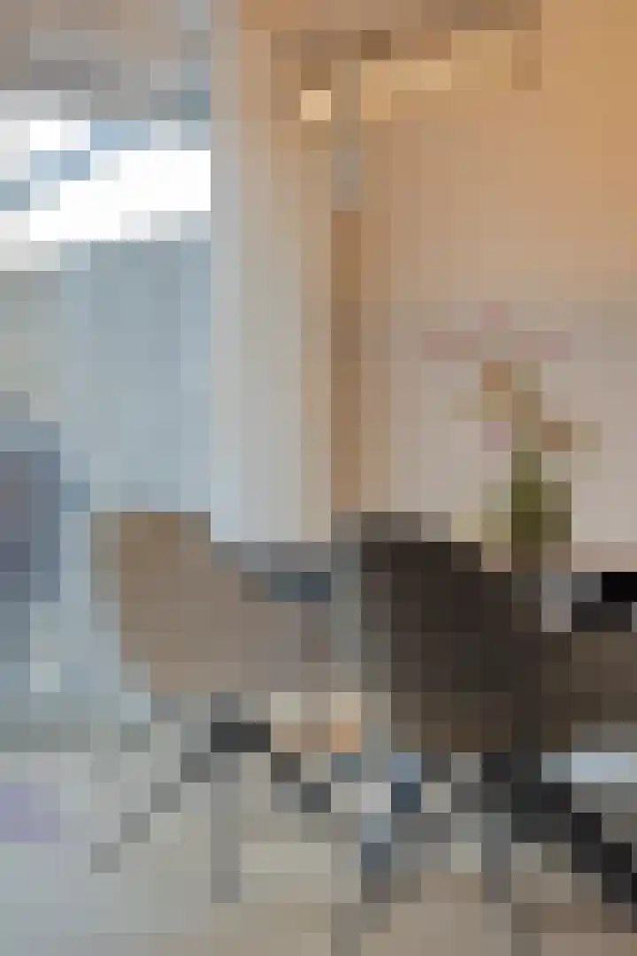 Clematisstraat 100 Denekamp thumbnail 7