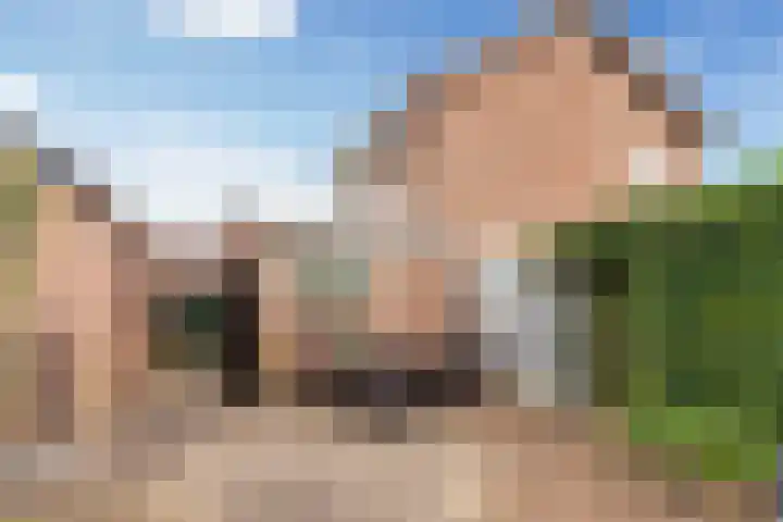 Clematisstraat 4 Wezep thumbnail 29
