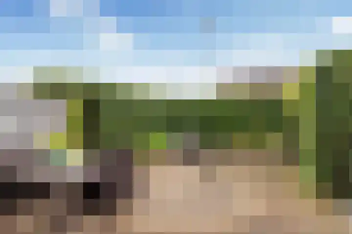 Clematisstraat 4 Wezep thumbnail 31