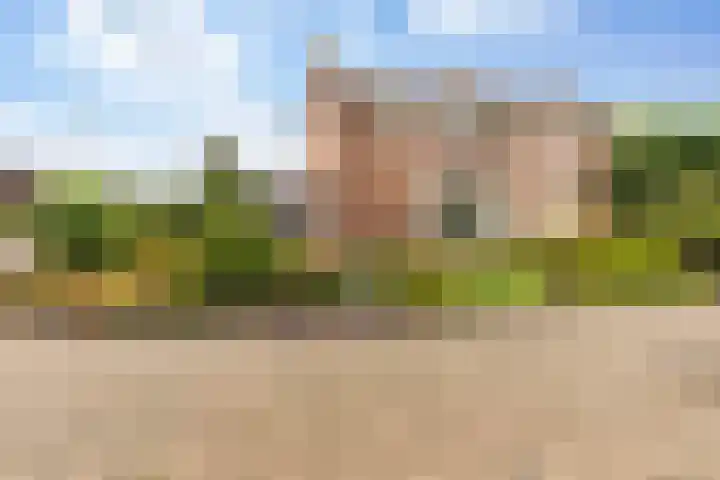 Clematisstraat 4 Wezep thumbnail 32