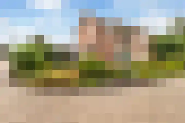 Clematisstraat 4 Wezep thumbnail 48
