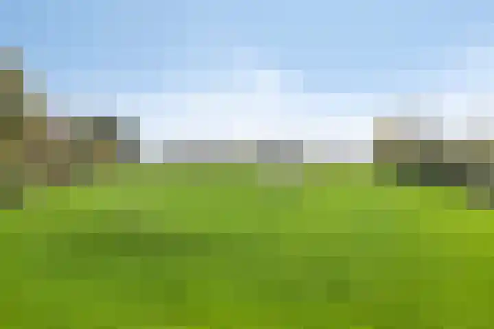 Clematisstraat 5 Opheusden thumbnail 35