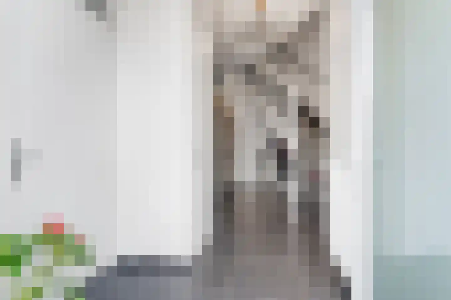 Clematisstraat 5 Opheusden thumbnail 36