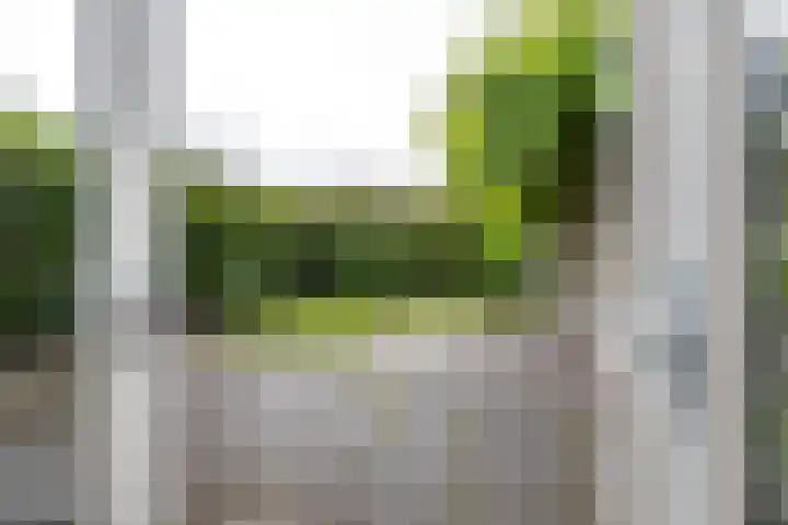 Clematisstraat 5 Opheusden thumbnail 38