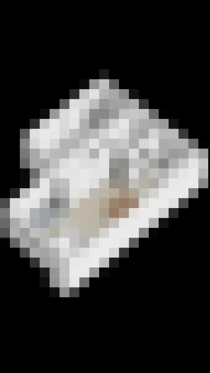 Clematisstraat 5 Opheusden thumbnail 38
