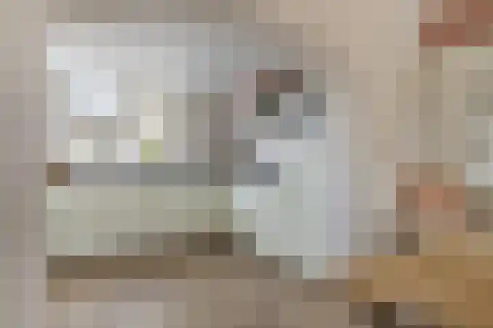 Clematisstraat 5 Opheusden thumbnail 7