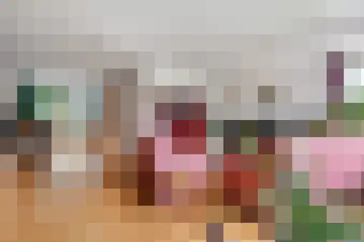 Clemenswerth 10 Norg thumbnail 11