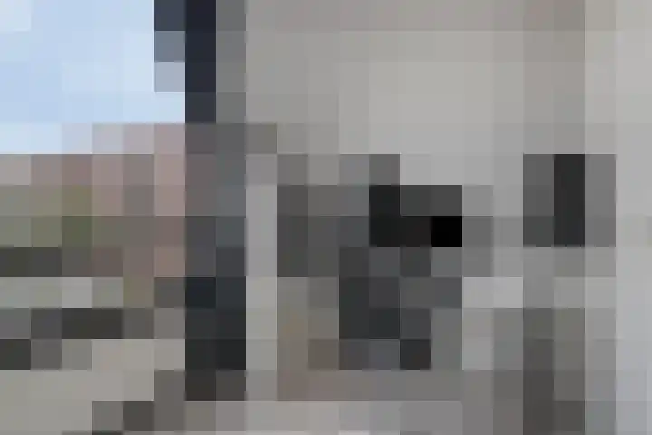 Clemenswerth 10 Norg thumbnail 15