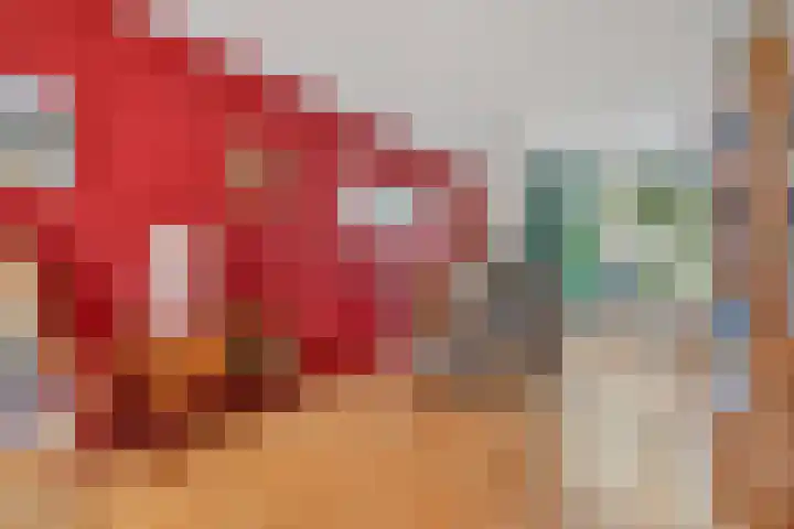 Clemenswerth 10 Norg thumbnail 15