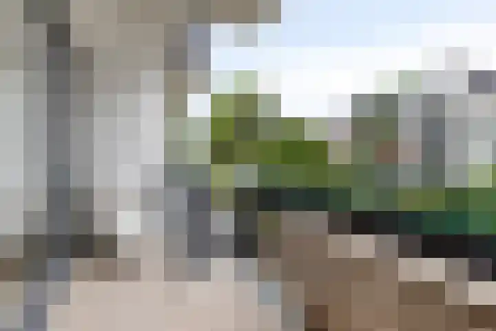 Clemenswerth 10 Norg thumbnail 24
