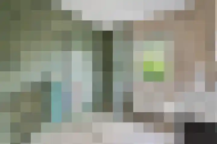 Clemenswerth 10 Norg thumbnail 25