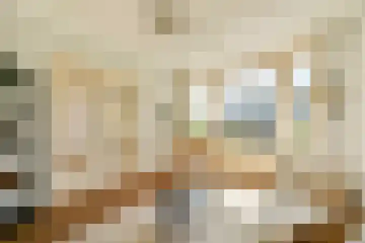 Clemenswerth 10 Norg thumbnail 32