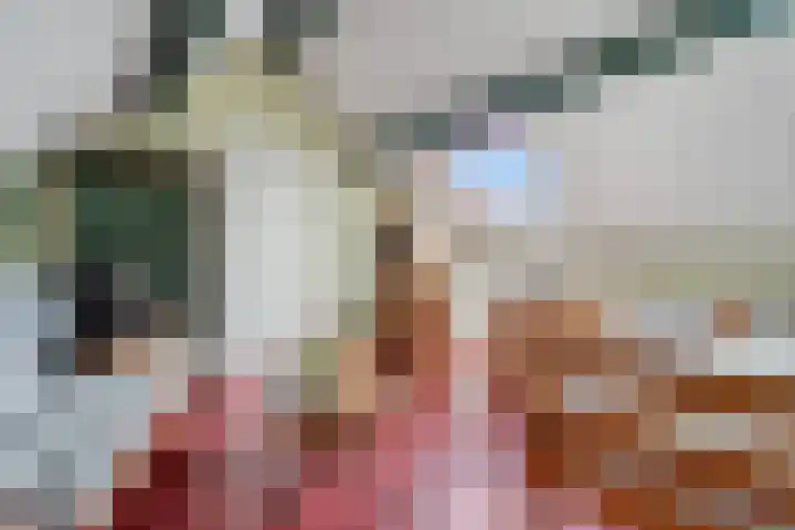 Clemenswerth 10 Norg thumbnail 35