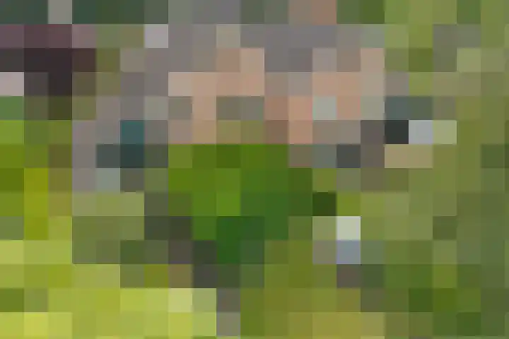 Clemenswerth 10 Norg thumbnail 37