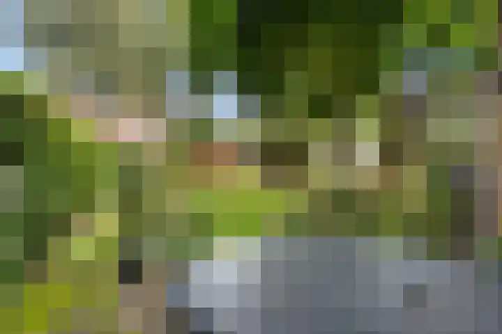 Clemenswerth 10 Norg thumbnail 39