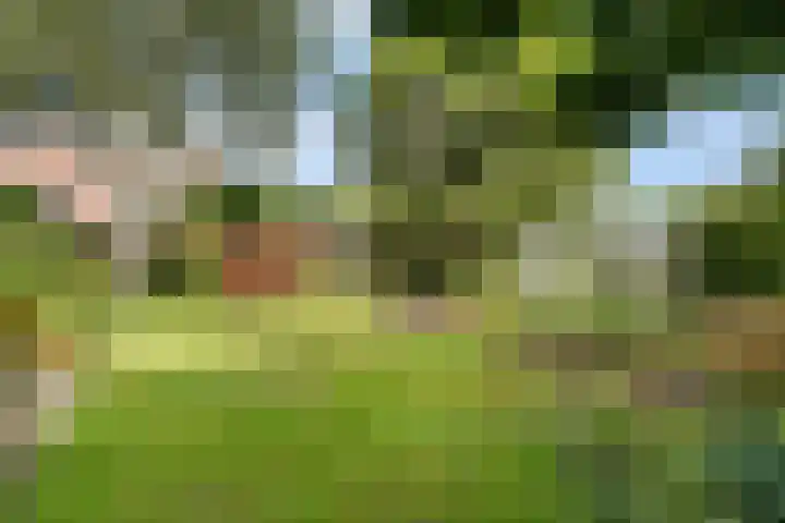 Clemenswerth 10 Norg thumbnail 41