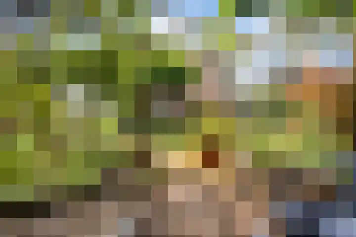 Clemenswerth 10 Norg thumbnail 42