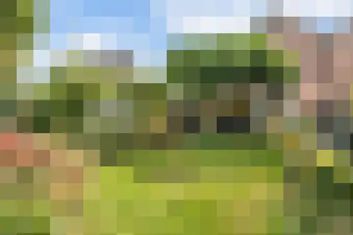 Clemenswerth 10 Norg thumbnail 43