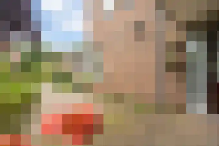 Clemenswerth 10 Norg thumbnail 44