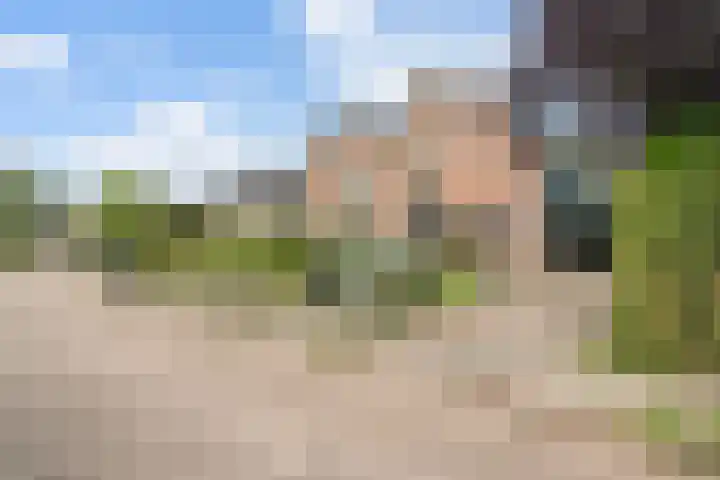 Clemenswerth 10 Norg thumbnail 45