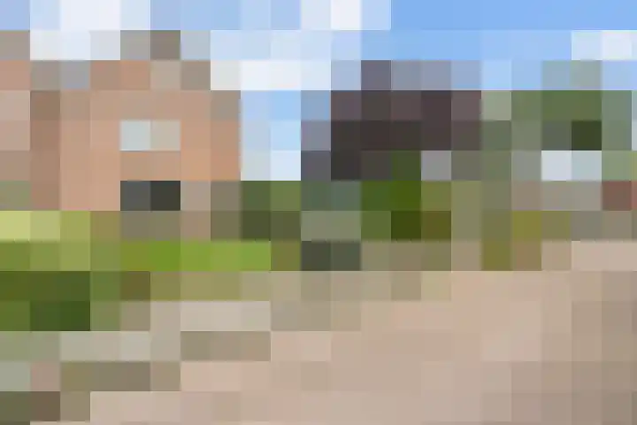 Clemenswerth 10 Norg thumbnail 48