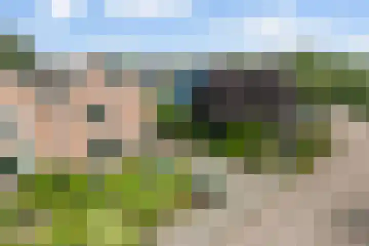 Clemenswerth 10 Norg thumbnail 49