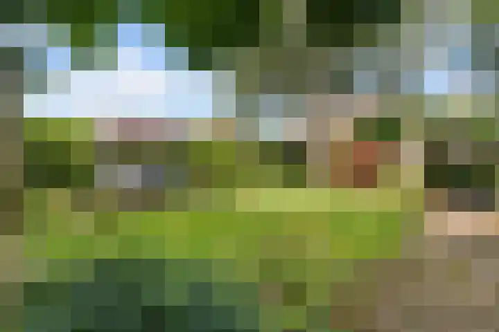 Clemenswerth 10 Norg thumbnail 5