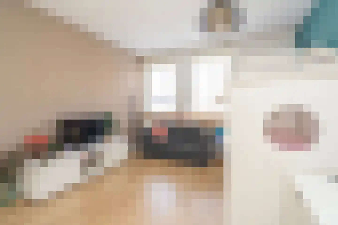 Clercxstraat 9 Tilburg thumbnail 34