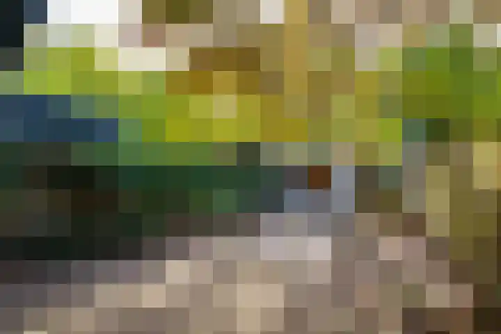 Clingendaellaan 163 Almere thumbnail 18