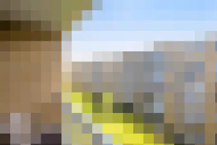 Cliostraat 29 1 Amsterdam thumbnail 34